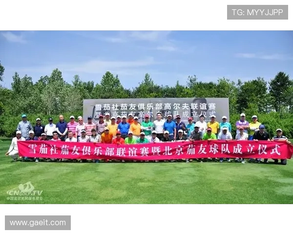 德甲球队间关系图解：友队、死敌与合作俱乐部