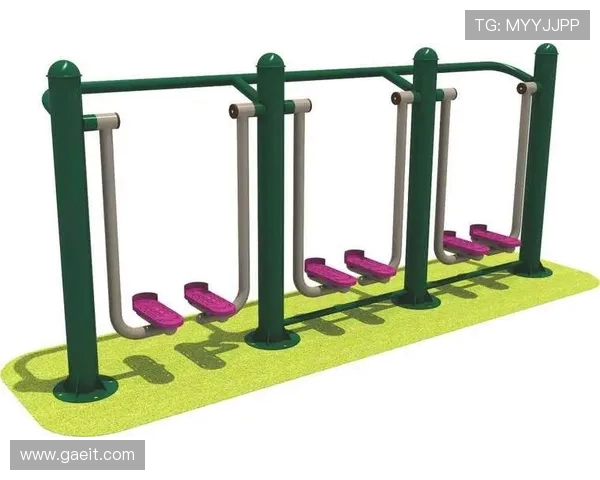 西湖健身器材：特色健身设备推荐