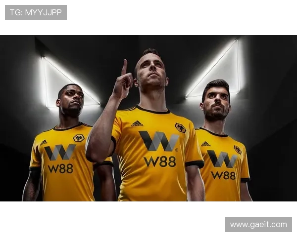 英超球队影响力榜单:社交媒体、品牌价值与全球粉丝量比较 英超球队影响力榜单:社交媒体、品牌价值与全球粉丝量比较